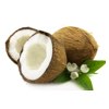 cocos