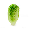 lechuga baby