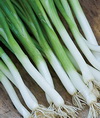 3 tablespoons minced scallion